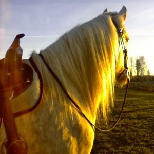 Meet your Posher, Audrey